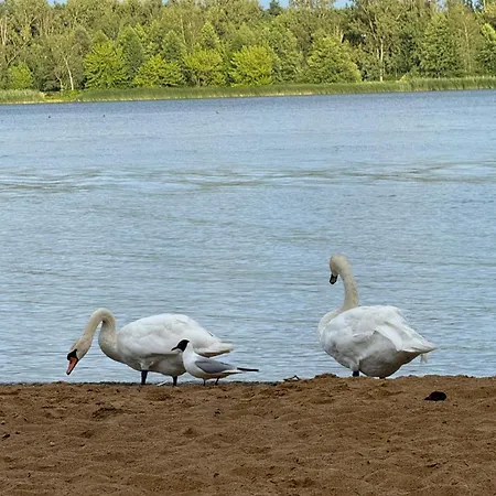 Aparthotel&sauna * Rynia (Legionowo)