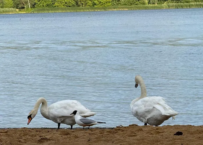 Aparthotel&sauna * Rynia (Legionowo)