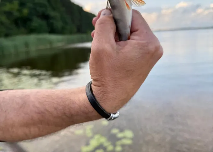 Aparthotel&sauna * Rynia (Legionowo)